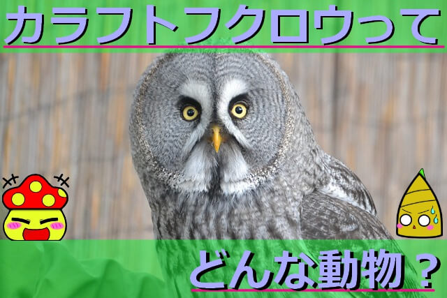 Thumbnail of post image 029